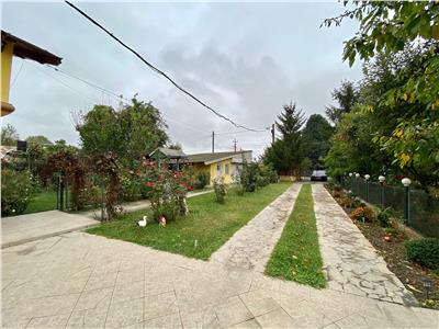 Casa P+1E si anexe, 2600 mp teren, Poienarii Burchi, Prahova