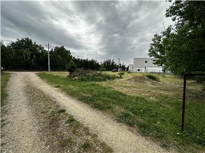 Vanzare teren intravilan, in Paulesti, zona padurii