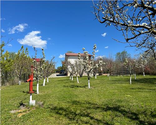 Vanzare vila 4 camere, in Bucov, Casa Timis