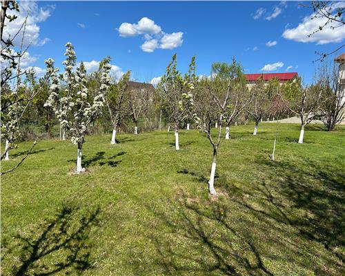 Vanzare vila 4 camere, in Bucov, Casa Timis